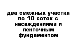 два смежных участка по 10 соток с насаждениями и ленточным фундаментом